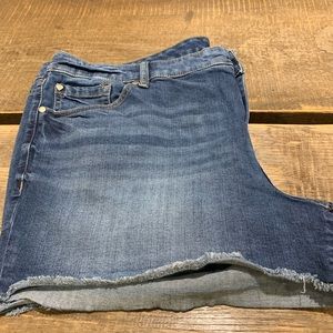 Daisy Dukes style cutoff  blue denim Torrid shorts